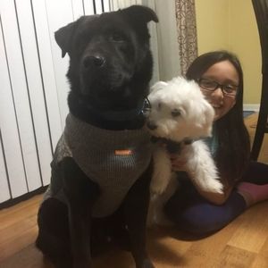 Meet your Posher, María